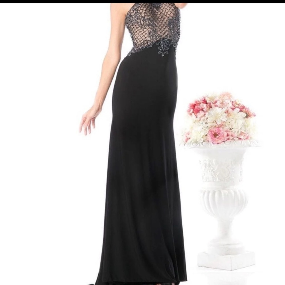 prom/ homecoming fully beaded cinderella